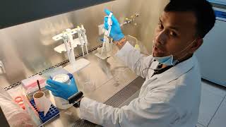 Mammalian Cell Culture Mammalian Cell Culture