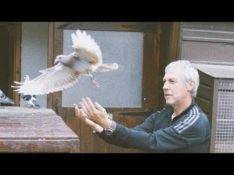 Heart Attack Police - Callinsick (Official Video)