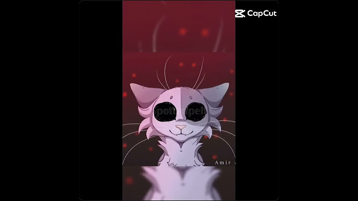 Nie wiem czy zostać i dalej nagrywać filmy, czy zostać.... #wariorcats