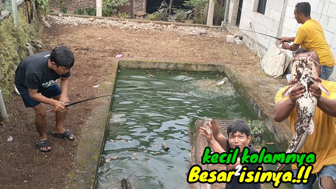 Ya tuhan semoga setiap mancing kayak gini terus..⁉️