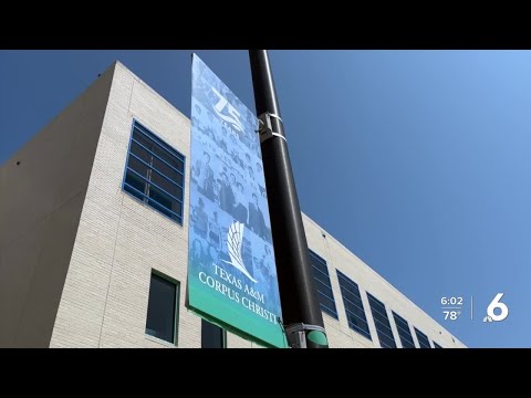 Alleged Sexual Assault Case At TAMU CC 