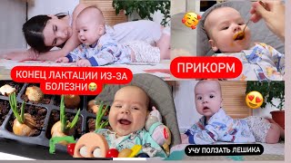 МЫ ВЕРНУЛИСЬ!!! КОНЕЦ ЛАКТАЦИИ В 4,5 МЕС//НАШ ПРИКОРМ//ОГОРОД НА ПОДОКОННИКЕ//ПРО ХЕЙТ