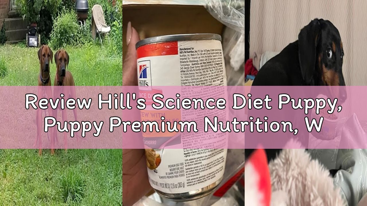 Review Hill's Science Diet Puppy, Puppy Premium Nutrition, Wet Dog Food, Chicken & Vegetables Stew,