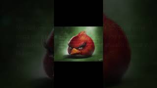 Los Comentarios MÁS TONTOS de Youtube Shorts ☠️