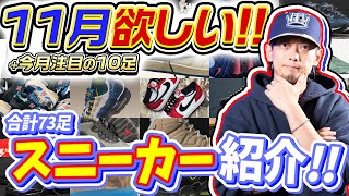 【スニーカー】11月に欲しいと思っているスニーカー+今月注目モデル10足!!合計73足紹介!(2025年11月)【ナイキ/アディダス/コンバース/ニューバランス】