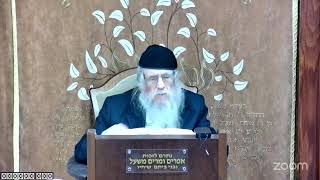 הרה"ג הרב וועכטר שליט"א ז' טבת תשפ"ה - מאמר הרבי ד"ה ודוד עבדי תשל״ב - חלק ד׳