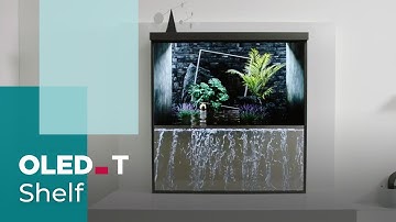 OLED Shelf | OLED.Transparent