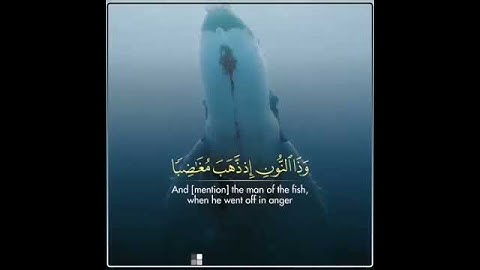 حالات واتس اب القرآن الكريم بصوت القارئ إسلام صبحي
