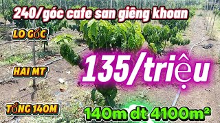 650/ LO GÓC QUẢ ĐẸP 240 GÓC CAFE 130 CÂY CAO SU SAN GIÊNG KHOAN HỆ THỐNG TƯỚI 