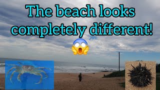 Zinkwazi Beach has tripled in size!! 09/04/2024. black Rock Park. Fishing Durban south africa today
