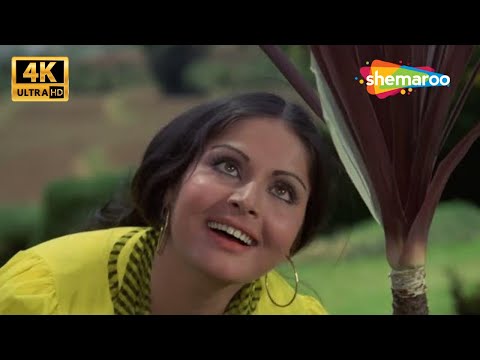 Pal Pal Dil Ke Paas - 4K Video | Blackmail (1973) | Dharmendra, Rakhee | Kishore Kumar Hit Song