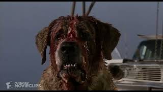 Cujo 7 8 Movie CLIP   Donna Is Bitten 1983 HD