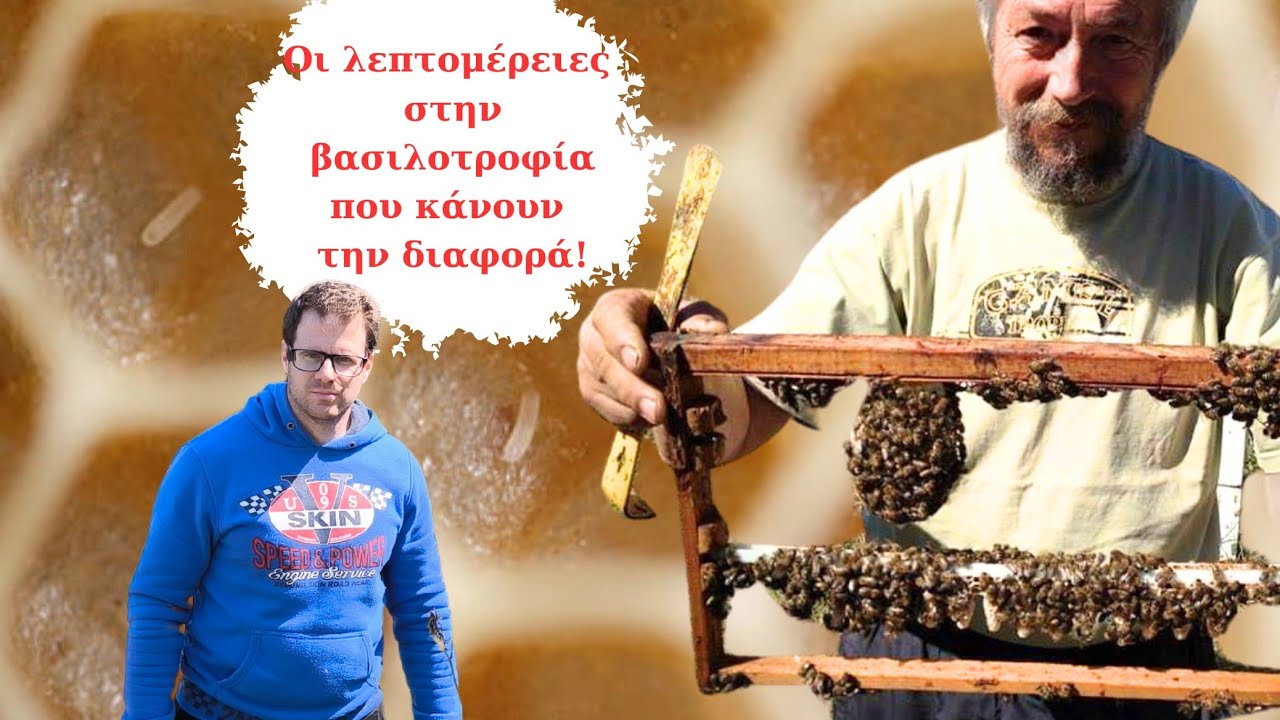 Τα μικρά μυστικά της βασιλοτροφιας με τον Μόσχο Ντιώνια