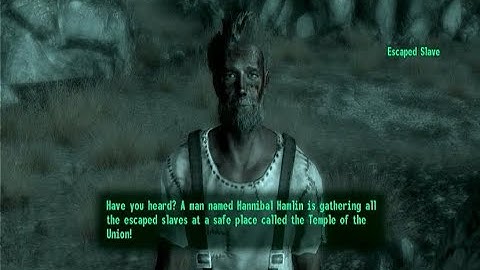 Rare Encounter: Escaped Slave