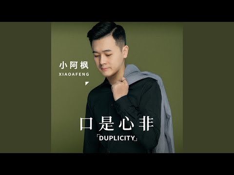 口是心非 (DJ辉总版伴奏)