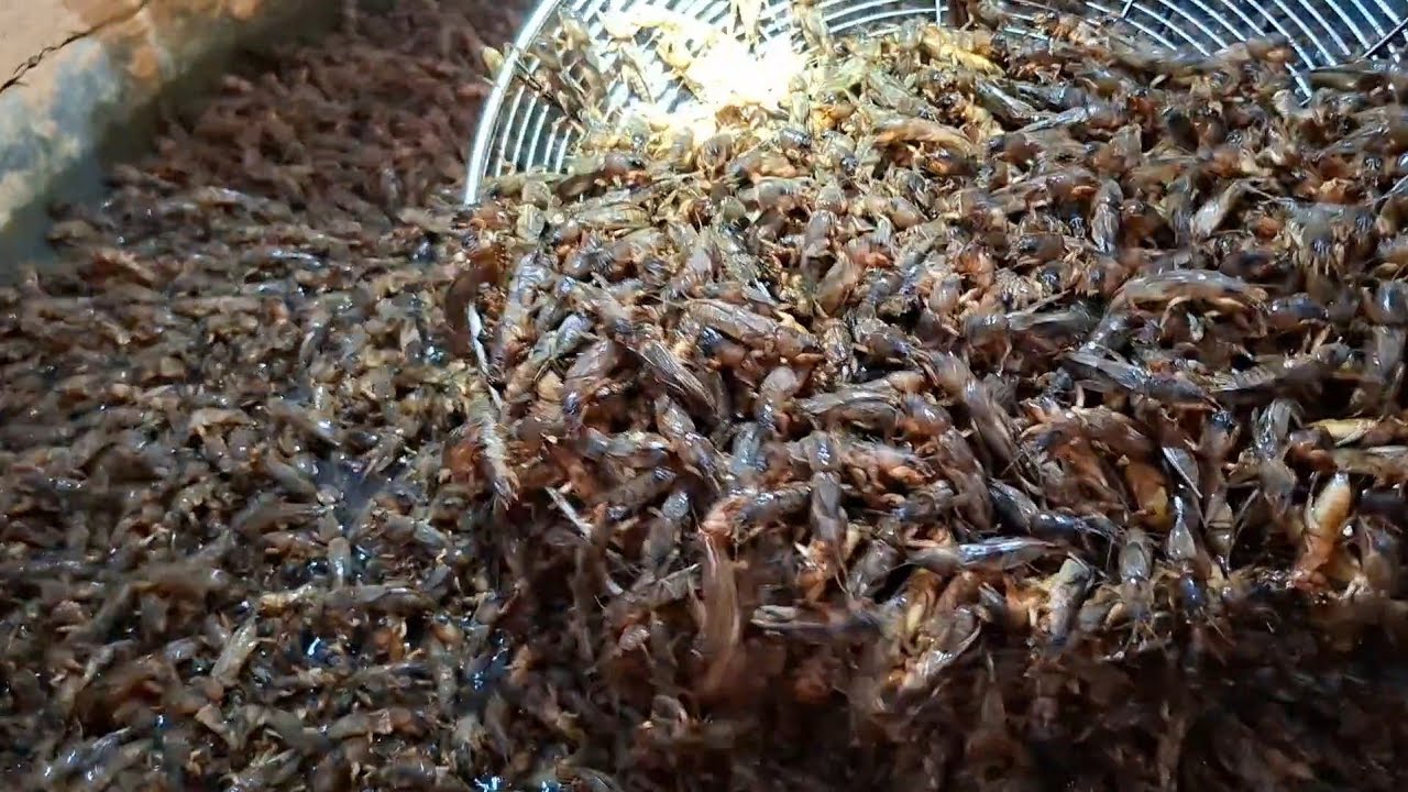 สุดจัดวันนี้หมานกว่าเมื่อวานบ่อเดียว2คุถังสีหมานสุดๆ23 กุมภาพันธ์ ค.ศ. 2026