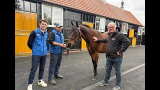 Rencontre Avec Dubawi À Darley Le Meilleur Étalon Du Monde À Dalham Hall En Angleterre
