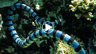 10 Minutes Comme Si Vous Y Étiez Avec Le Tricot Rayé À La Morsure Dévastatrice