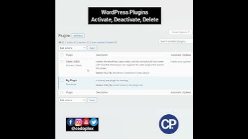 Activate, Deactivate, Delete a WordPress plugin - Learn WordPress in Urdu