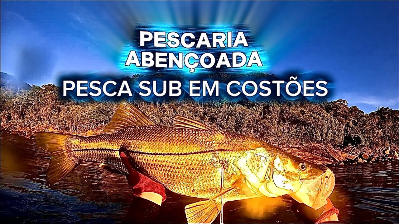 PESCA SUB - LITORAL NORTE DE SÃO PAULO- ROBALOS 
