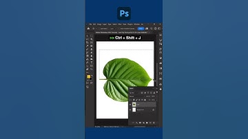 🎨 Photoshop Manipulation Tutorial | Creative Photo Editing Made Easy #photoshop #tutorial #shorts