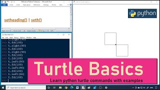 Celebrity Learn Python Turtle Basic Commands Part 1 with examples | #highblix Wealth