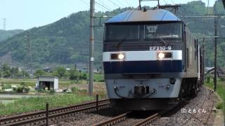東海道本線　大垣　－　米原　2012/05撮影　EF210