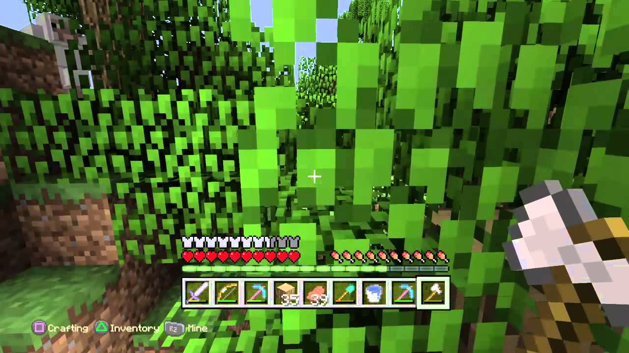 Minecraft: PlayStation®4 Edition 5 Enderballs.