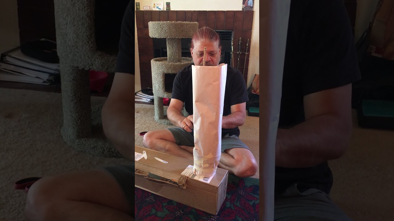 Unboxing an Anthurium Polystictum from Steve’s Leaves.