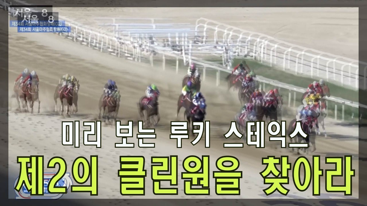 [경마 예상 방송 원석 경마] 미리 보는 2세마 루키 스테익스 대상경주!!!