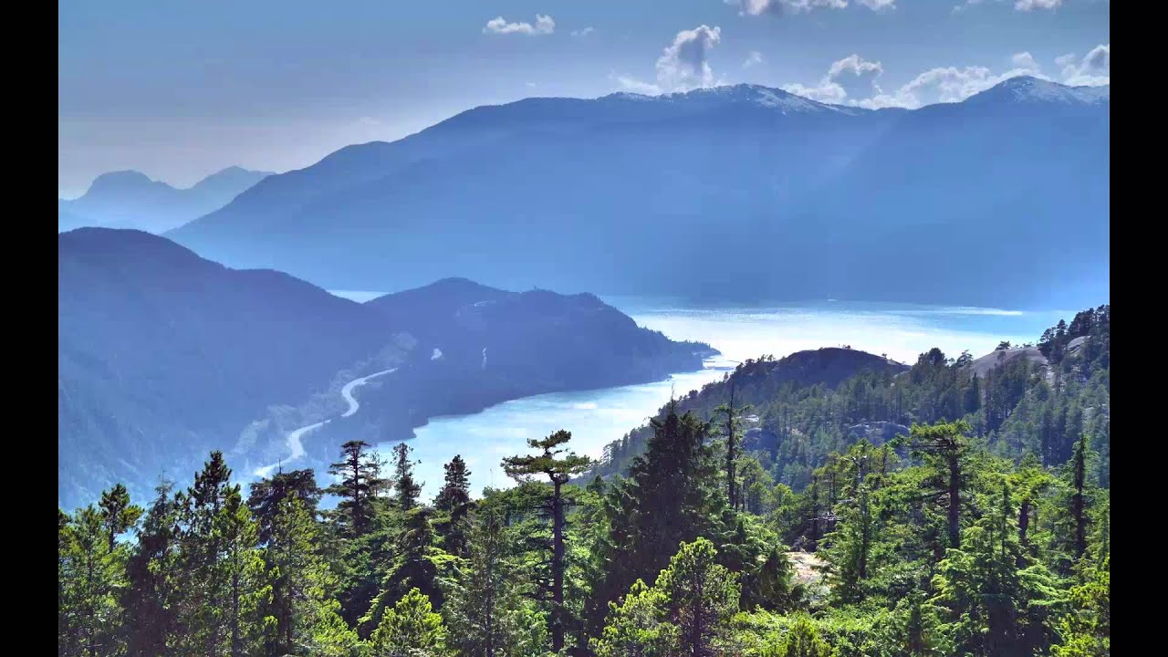 FAMA DOAMNE O LACRIMA .Cover. IONEL BUTUCEA. HUSI ,VASLUI YouTube