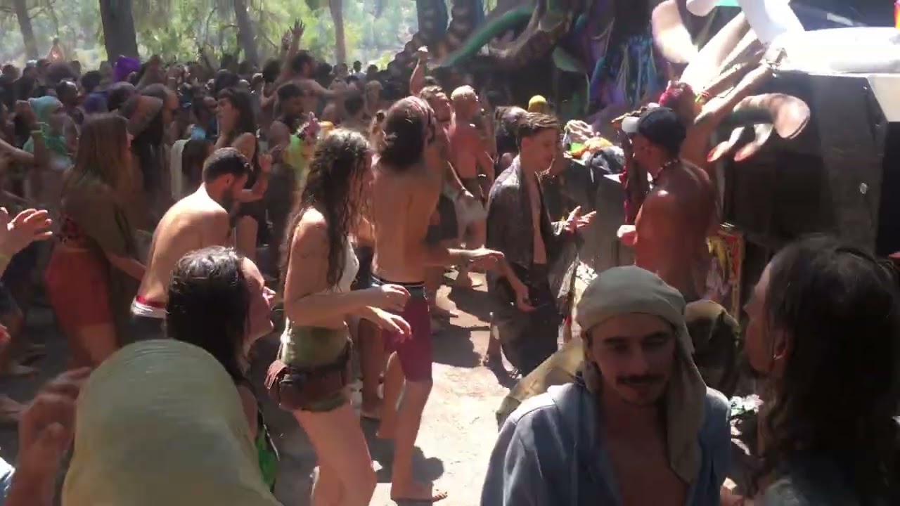 Hallucinogen at ZNA Gathering 2019