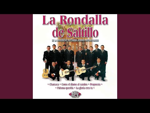 Ver video de Un Soñador Nada Mas
