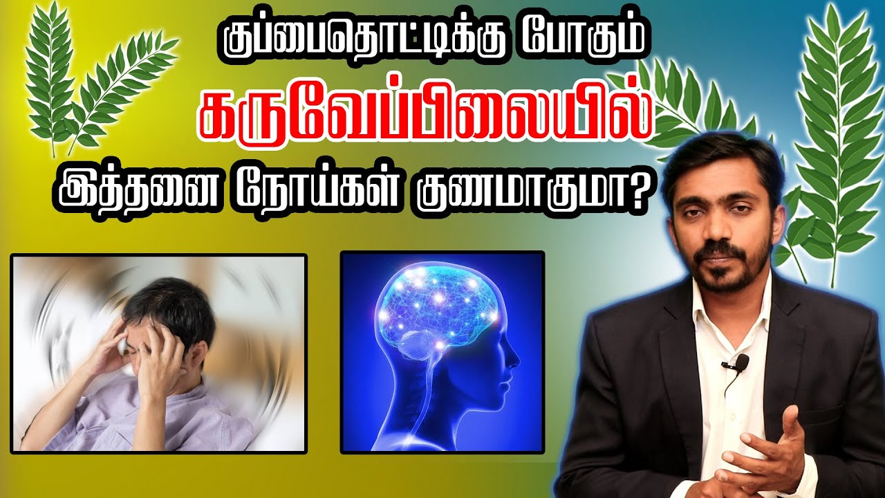 இந்த ஒரு இலை பல நோய்களுக்கு மருந்தாகிறது CURRY LEAVES MEDICAL BENEFITS in Tamil DrSJ