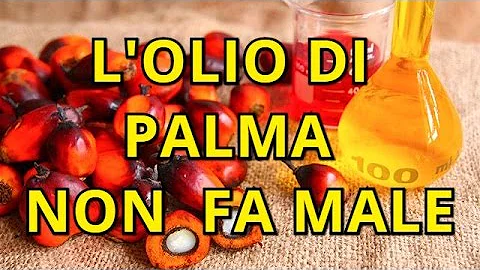 A cosa fa male l'olio di palma?
