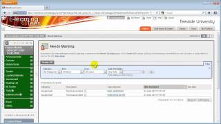 Blackboard - Accessing the Grade Centre