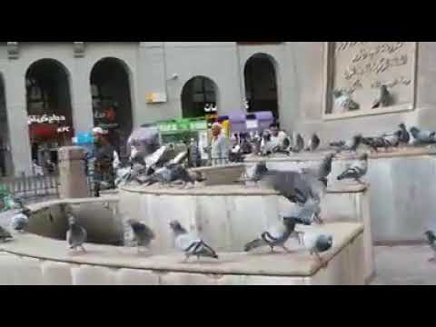 شفت ياما ناس كثير مناها تعيش العمر جنبك يا حبيبي يا رسول الله