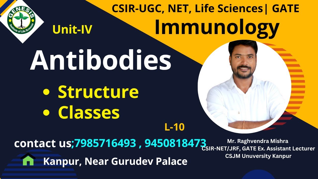 Antibodies | Structure & Classes of Antibodies | Immunology | #genesis_institute