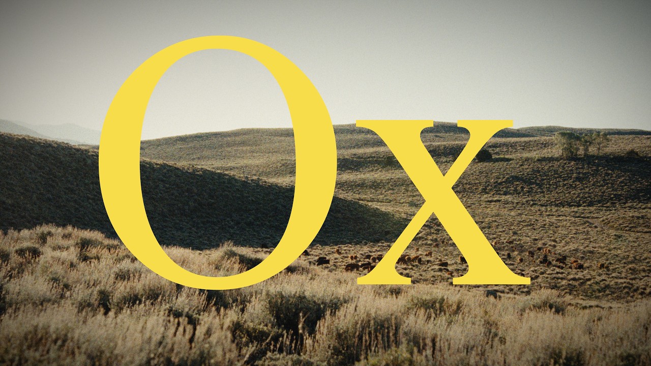 Watch Palace - Ox (Visualiser) on YouTube Watch Palace - Ox (Visualiser) on YouTube