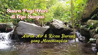 Download Lagu Suara Pagi Hari di Tepi Sungai – Aliran Air \u0026 Kicau Burung yang Menenangkan MP3