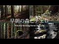 早朝の森と癒しのチェロ　信州安曇野（自然映像とBGM/心身浄化・癒し）healing cello