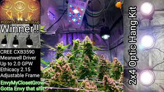 Winner for "Best Picture" in the Optic LED Growers CUP 2018