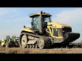 Challenger MT 865 C + Ripuntatore Dante 9 ancore | Agro T. e C.