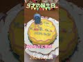 2024.4.21 孫のりんちゃん9才の誕生日!!ケーキを作ってみた!! #shorts