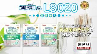 愛犬に乳酸菌で歯周ケア！歯磨き専用ガム L8020