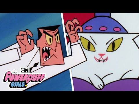 Cat Burglar The Powerpuff Girls Cartoon Network