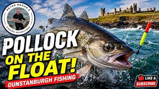 Pollock on the Float at Dunstanburgh Castle!