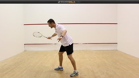 Squash tips: David Palmer