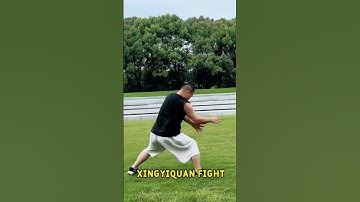 Xingyiquan, the most powerful traditional martial art #kungfu #xingyiquan