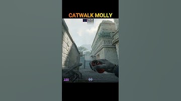 Catwalk Control Molly on Ancient #cs2 #molotov  #ancient #shorts